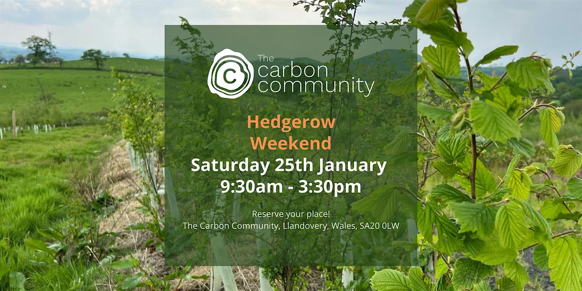 Hedgerow Weekend at The Carbon Community