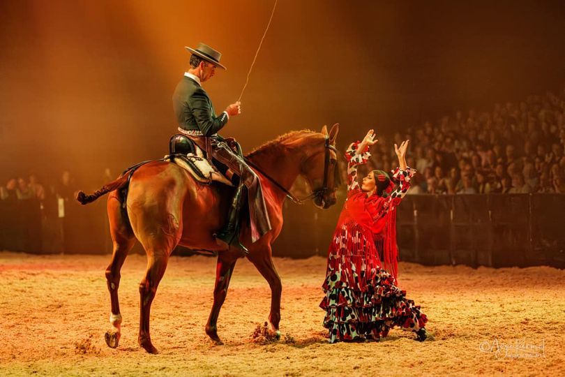 Festival of the Iberian Horse