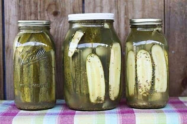 Pickles 101