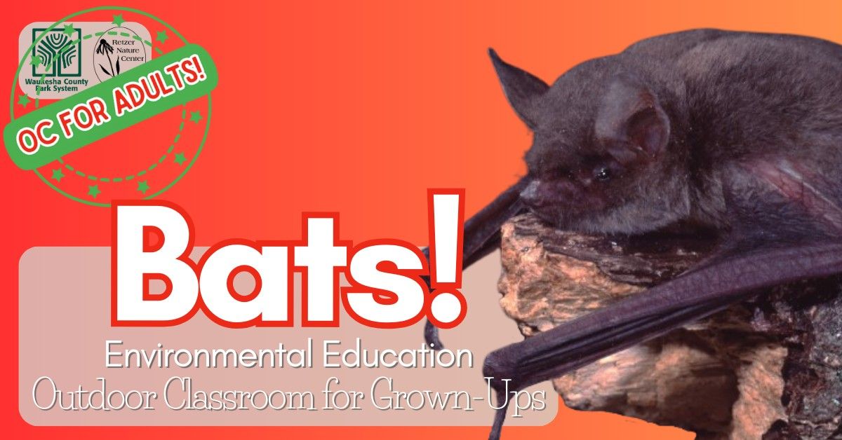 BATS! [Outdoor Classroom for Adults series]