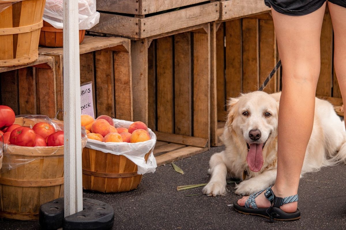 GRRoM Meet and Greet at the Rockford Farmers Market 