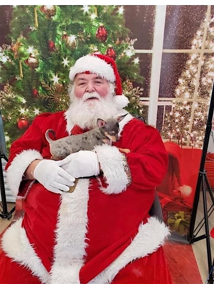 A Unicorn Christmas Class with Santa, his reindeer, Anna & Intro to Riding