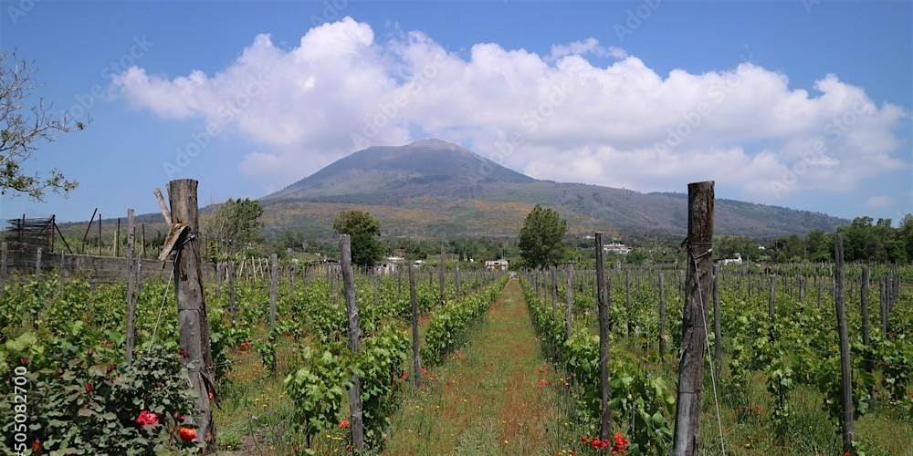 Guided Tasting Tour of Campania