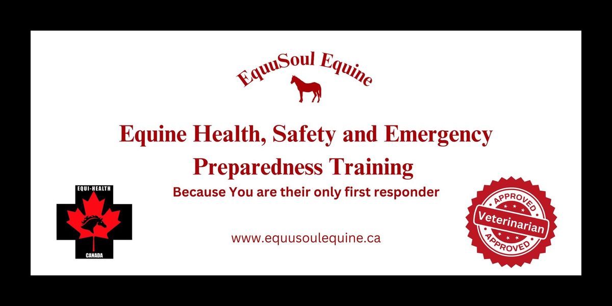 Equine First Aid Courses - Kamloops, BC 