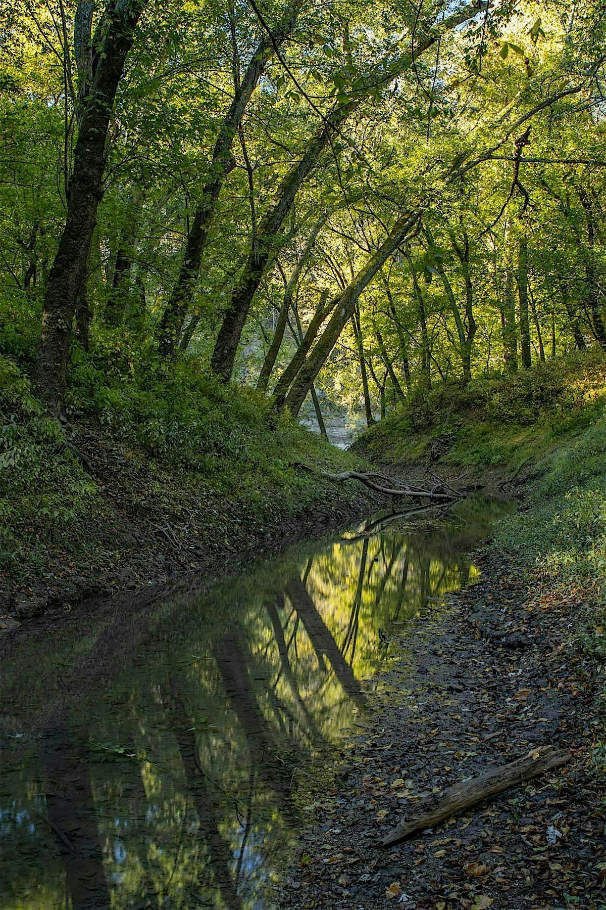 Golden Hour Hike to the Kentucky River