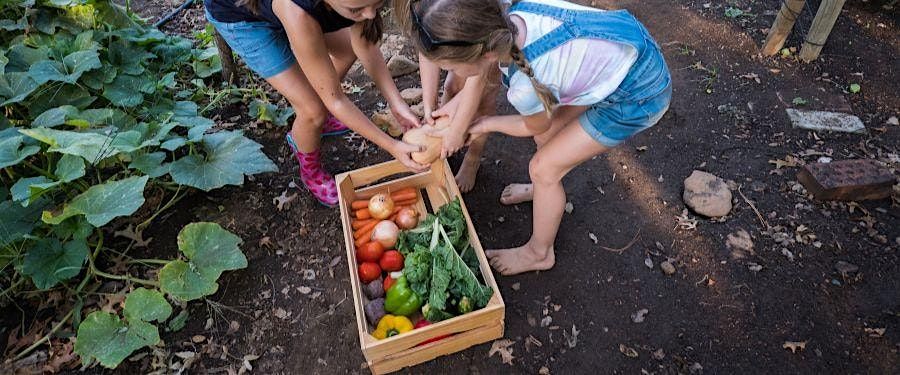 East Cobb Garden Fest