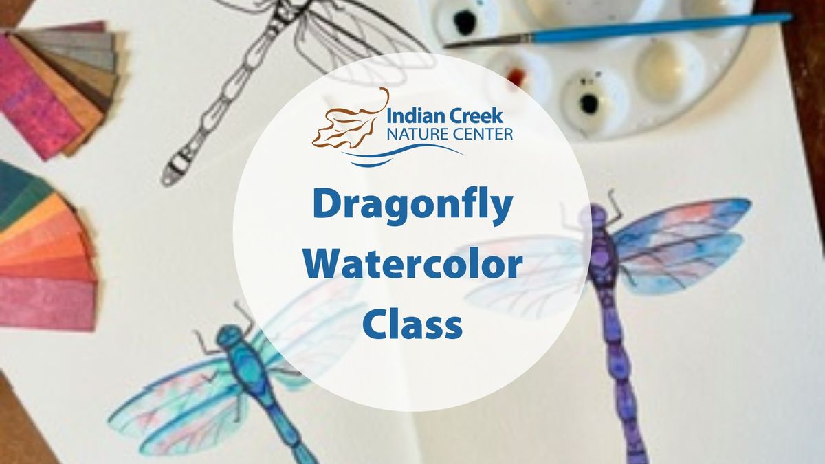 Dragonfly Watercolor Class