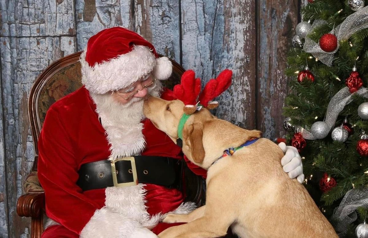 Northeast Arkansas Humane Society Holiday Pet Photos