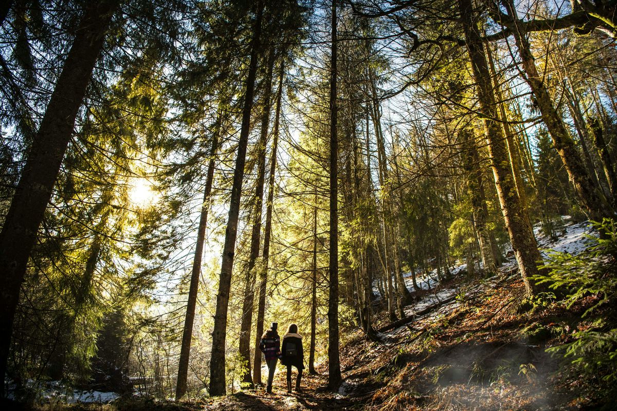 A Mindful Outdoor Experience: Connecting to Self, Place & Community- BU VT