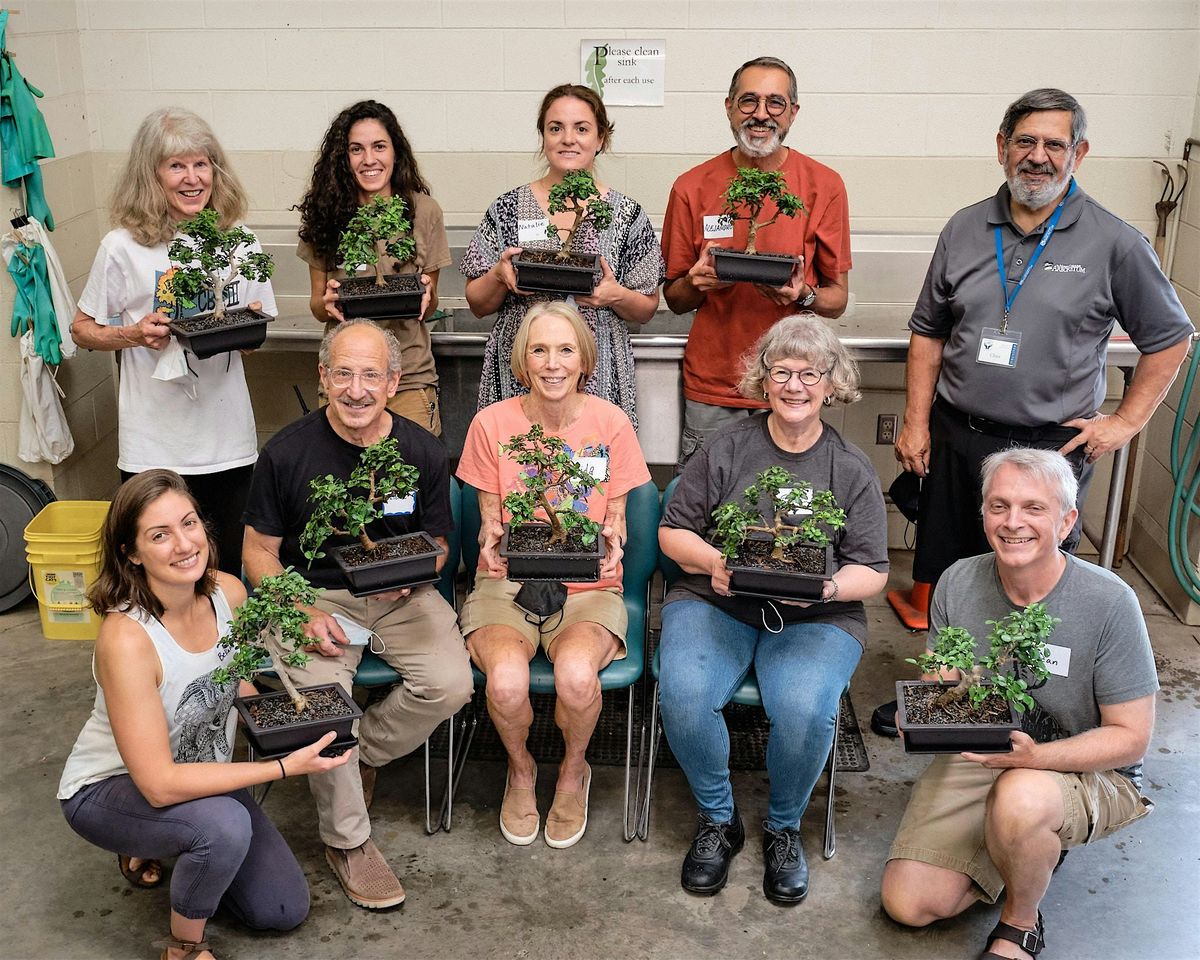 Beginning Bonsai Workshop