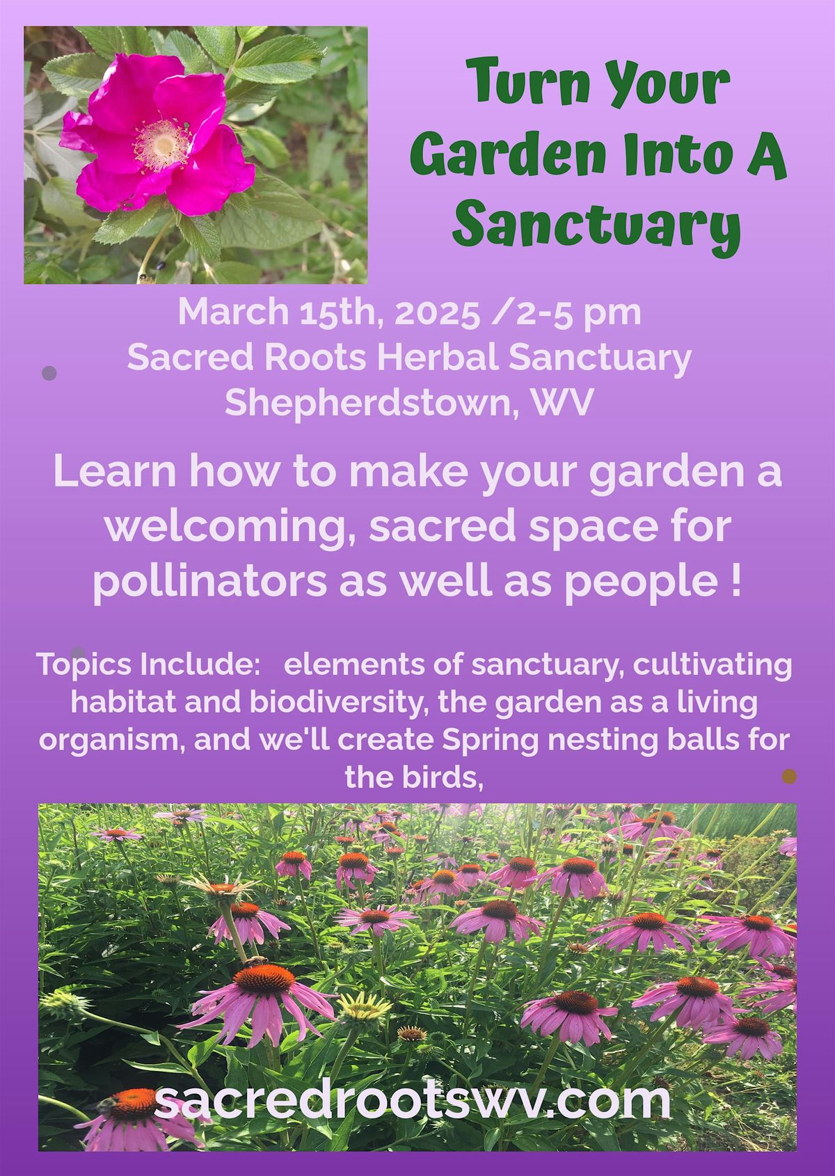 Turn Your Garden Into A Sanctuary