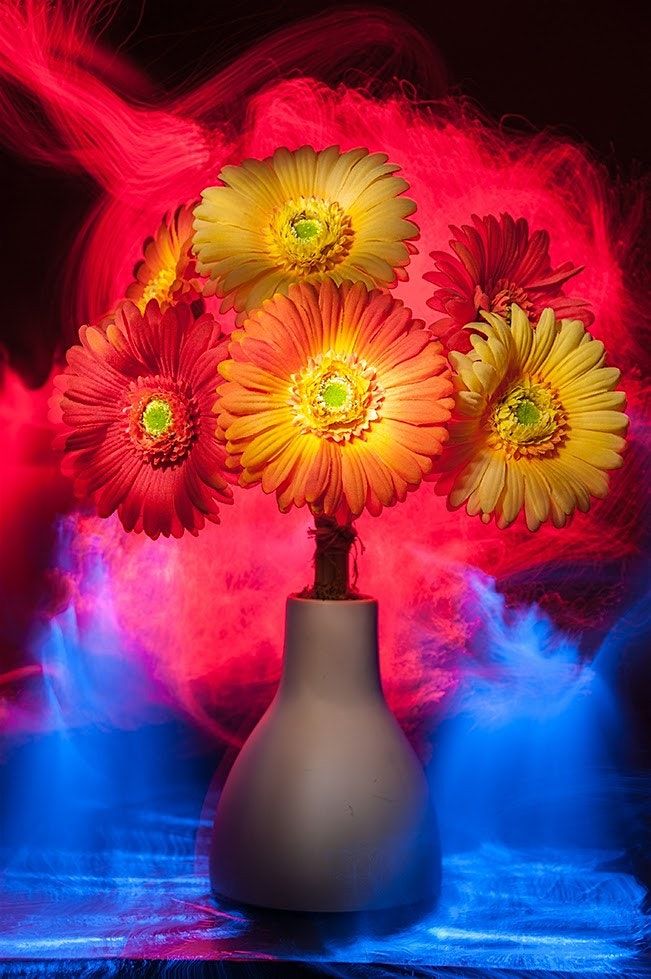 Henry's Newmarket: Light Painting - Bryan