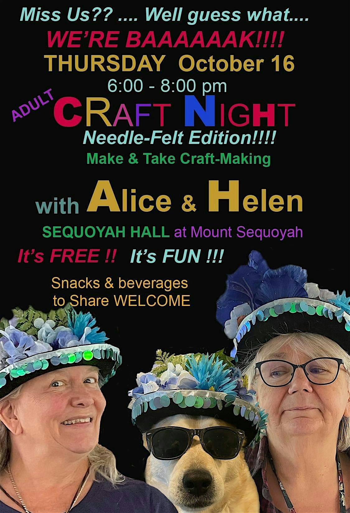 Adult Craft Night: Needle-Felt Edition