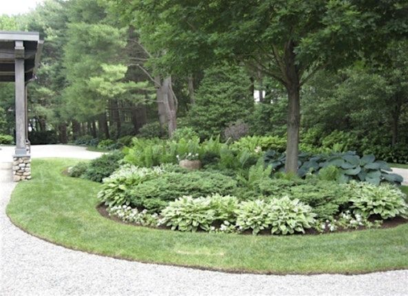 Successful Gardener - Rethinking the Green Carpet: Shrinking the Lawn