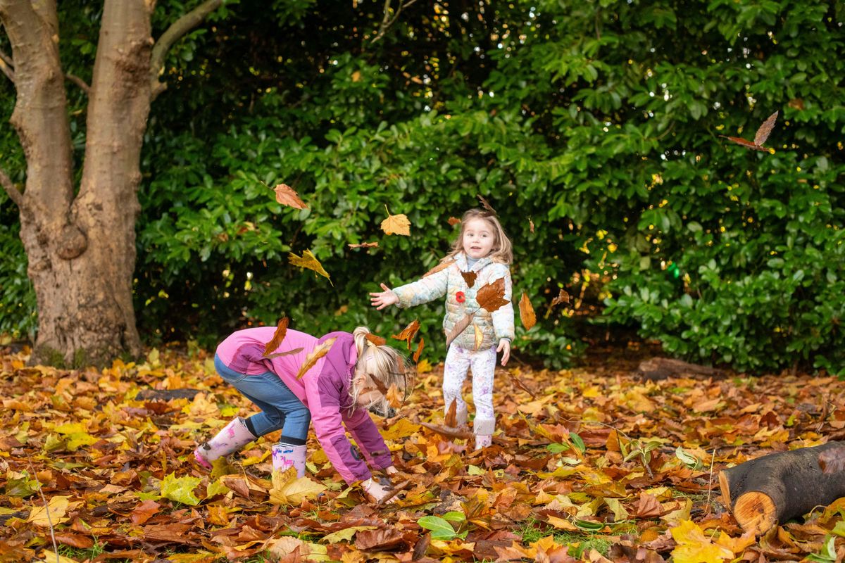 Spooky Nature Tots at The Wolseley Centre