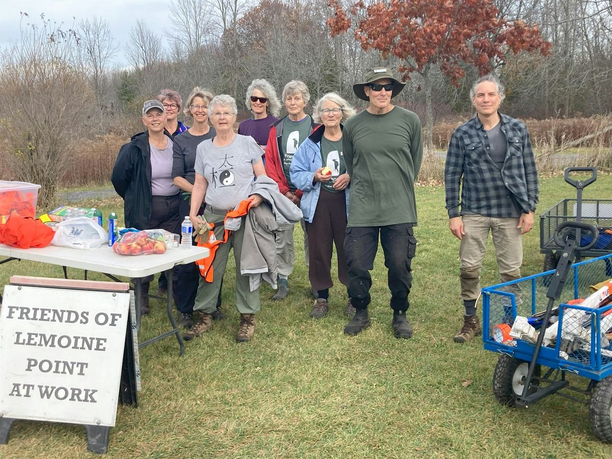 Buckthorn control at Lemoine Point