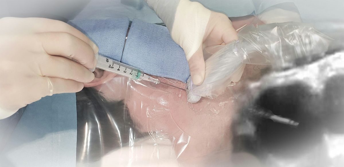 RBH Ultrasound Vascular Access Workshop