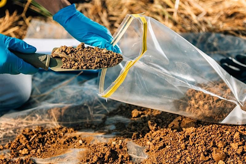 Healing City Soils: Understanding & Addressing Soil Contamination