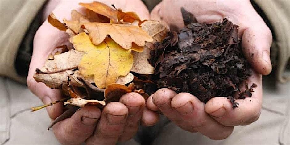 Climate Resilient Gardening