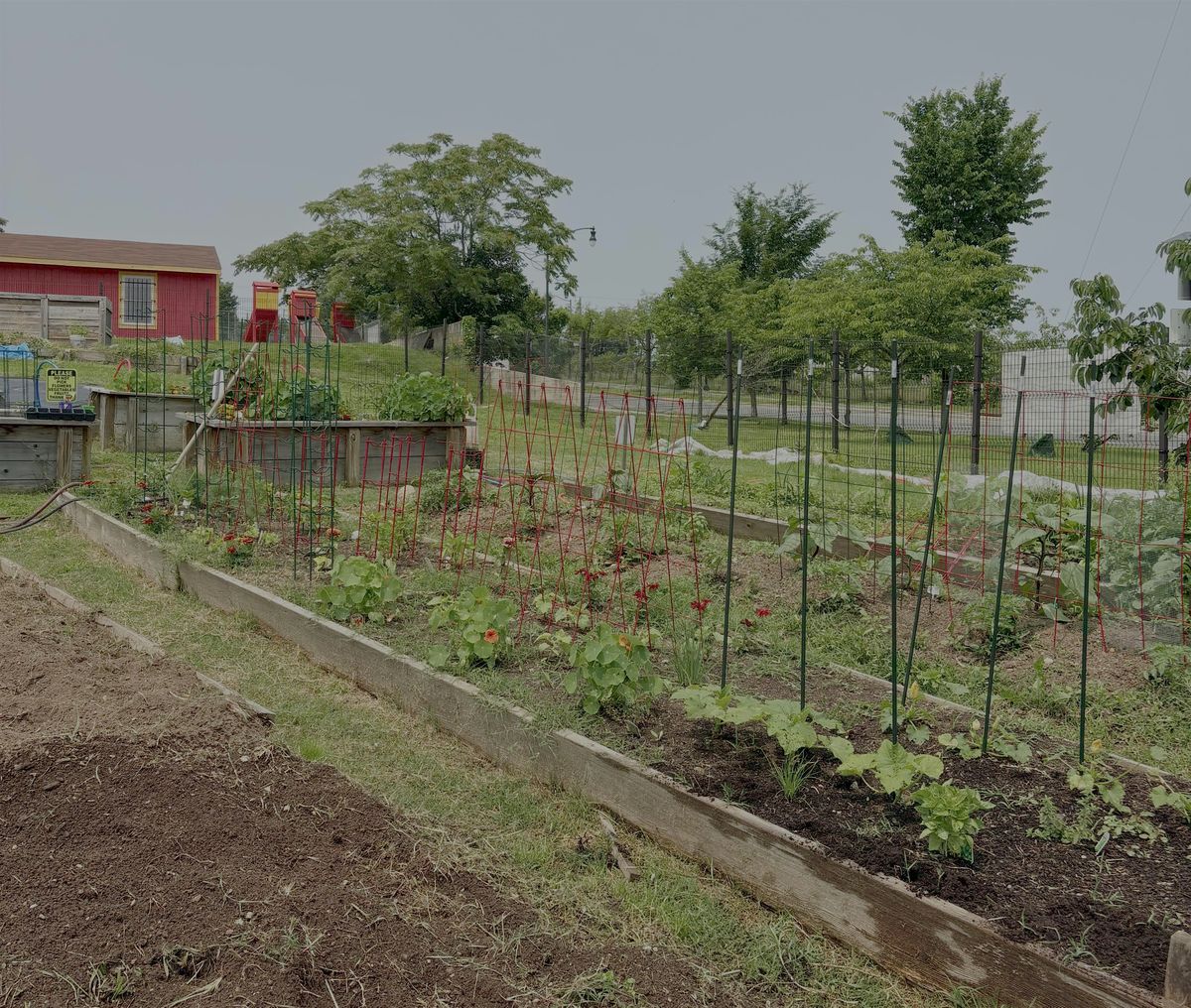 DC Urban Farmer Gathering: Financial and Technical Assistance Info Session