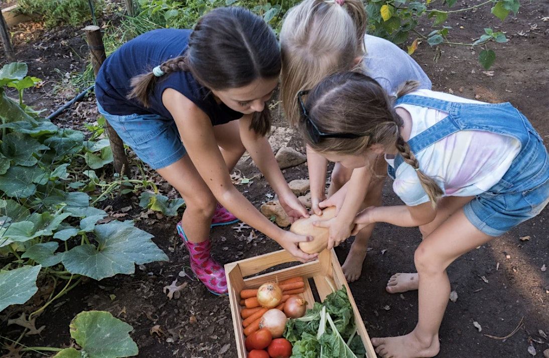 Summer Cooking Camp at Wakeman Town Farm Ages 6 -11