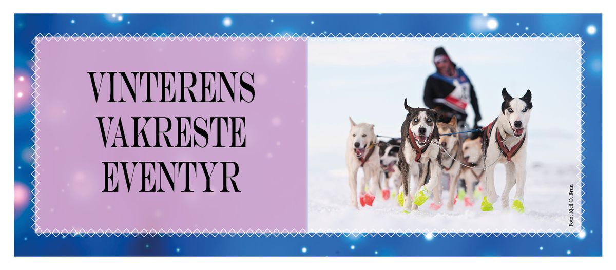 Vinterens vakreste eventyr - Opening concert for Finnmarksl\u00f8pet with presentation of the mushers