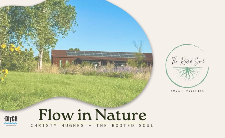 Flow in Nature - Yoga on the Lawn