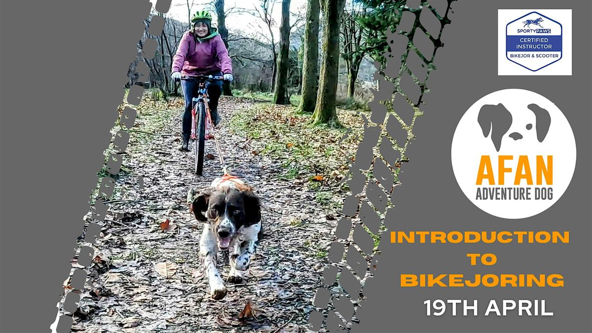 Introduction to Bikejoring & Dog Scootering