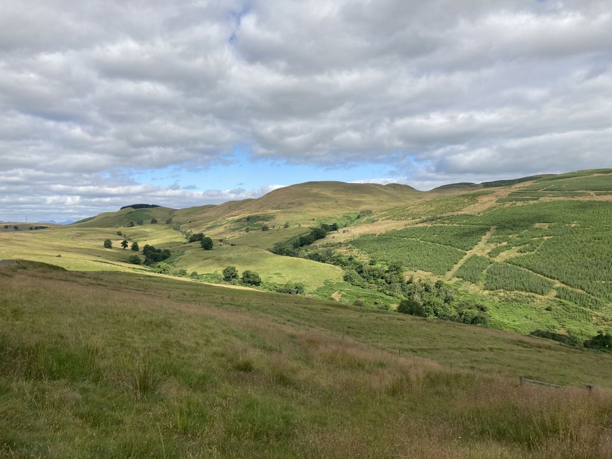 Colsnaur Hill and Menstrie Glen