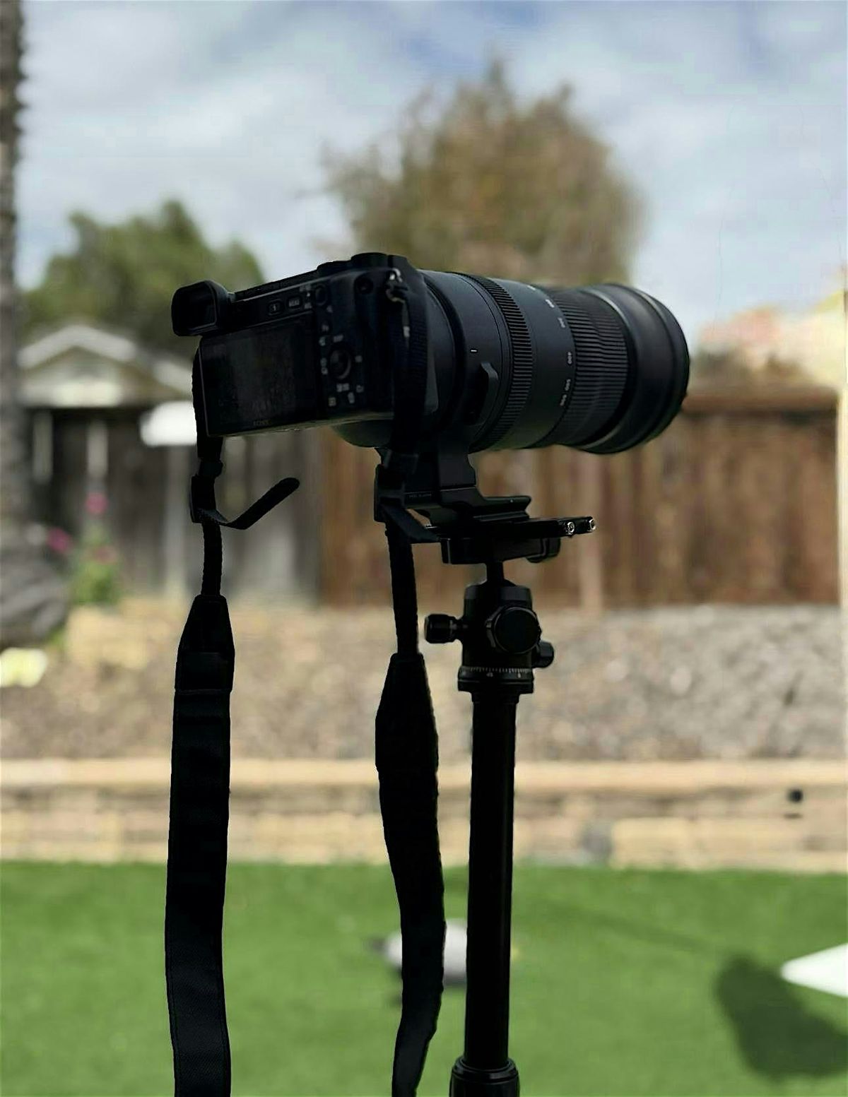 Sony camera photography meet up