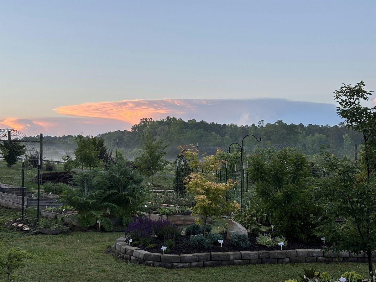 Walking with Wisdom at Maverado Gardens: Silent walking meditation