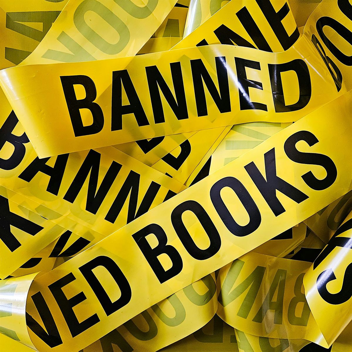 Artist Exhibit & Conversation with Ellis Angel and PEN America on Book Bans