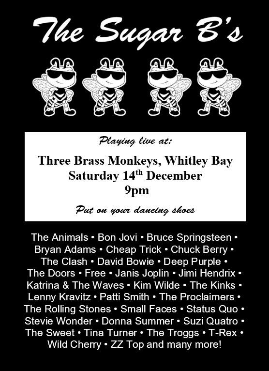 The Sugar B's at Three Brass Monkeys, Whitley Bay