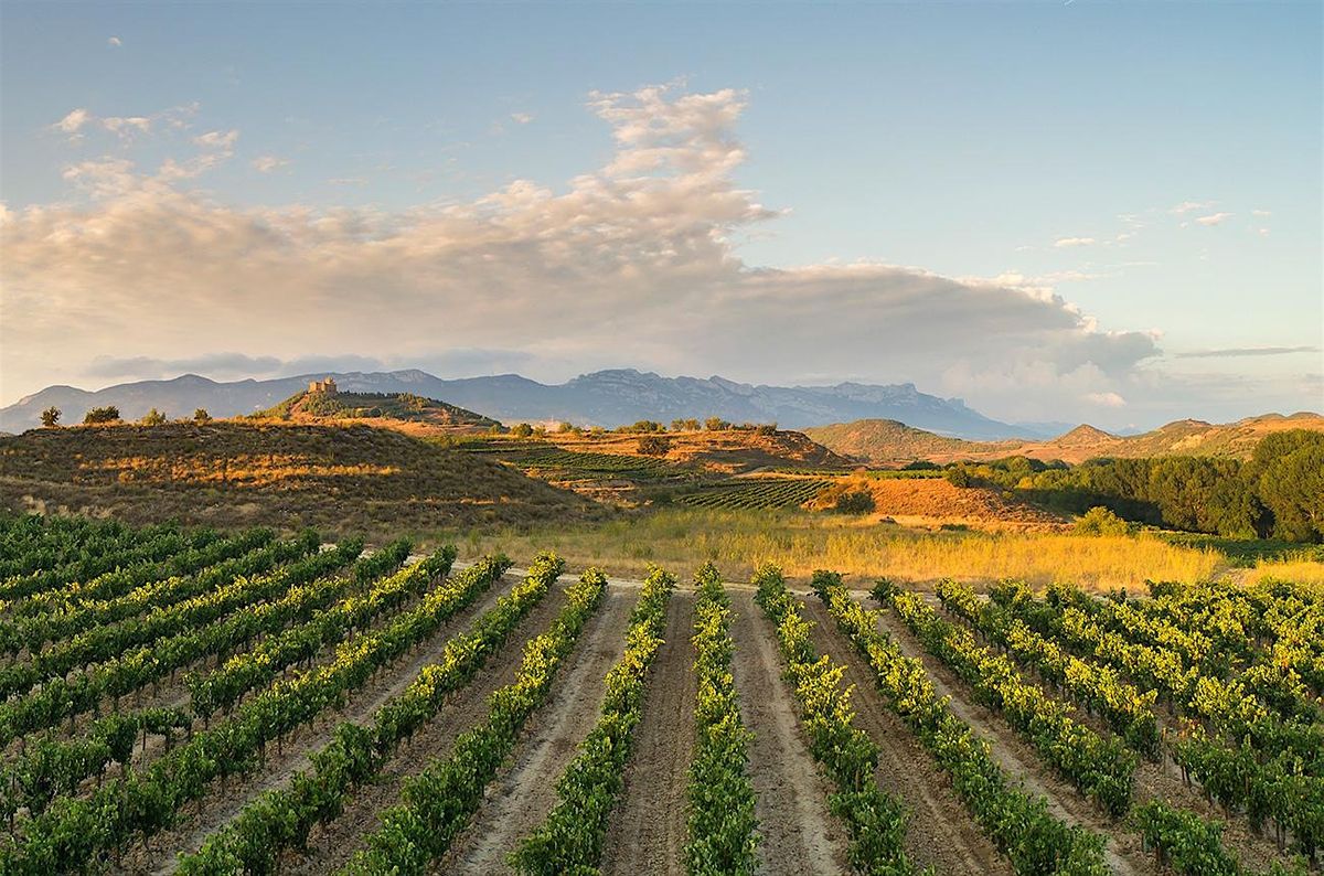 Wine Class - Garnacha & Tempranillo