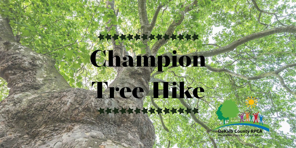 Champion Tree Hike at Mason Mill Park