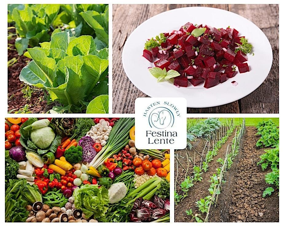 Soil to Plate Programme 2025: A complete growing & culinary experience