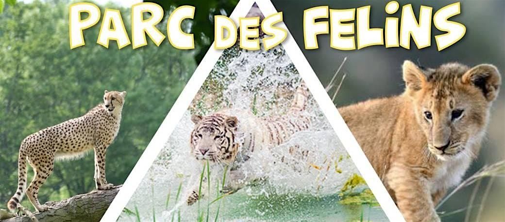 D\u00e9couverte du Parc des F\u00e9lins - DAY TRIP - 26 octobre
