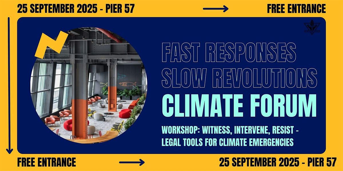 Witness, Intervene, Resist: Legal and Policy Tools for Climate Emergencies