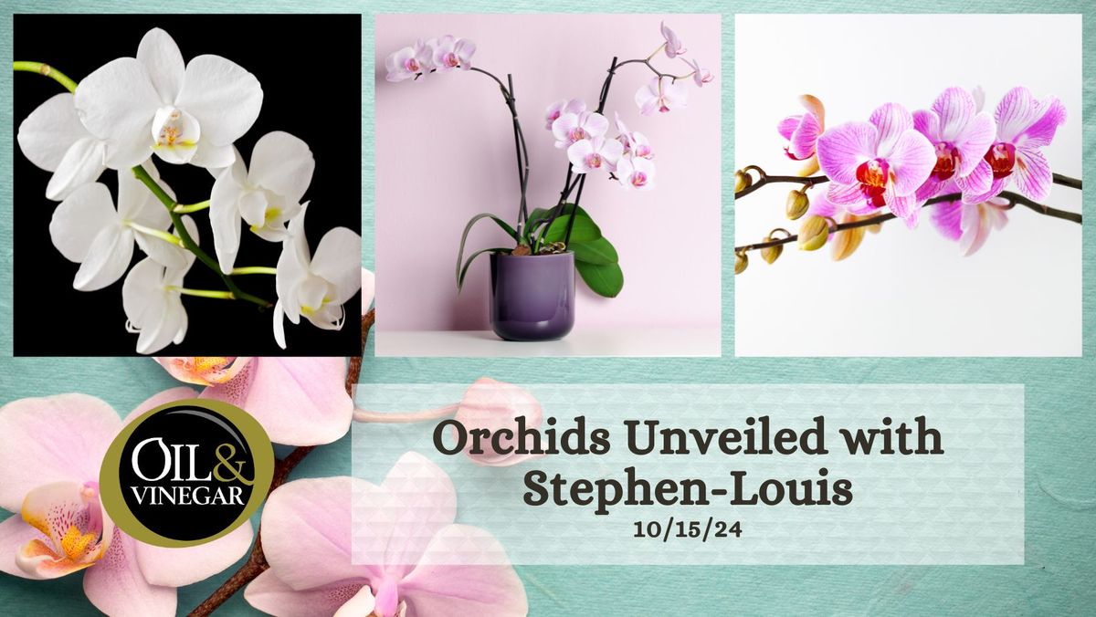 Orchids Unveiled - A Hands on Class with Stephen Louis 