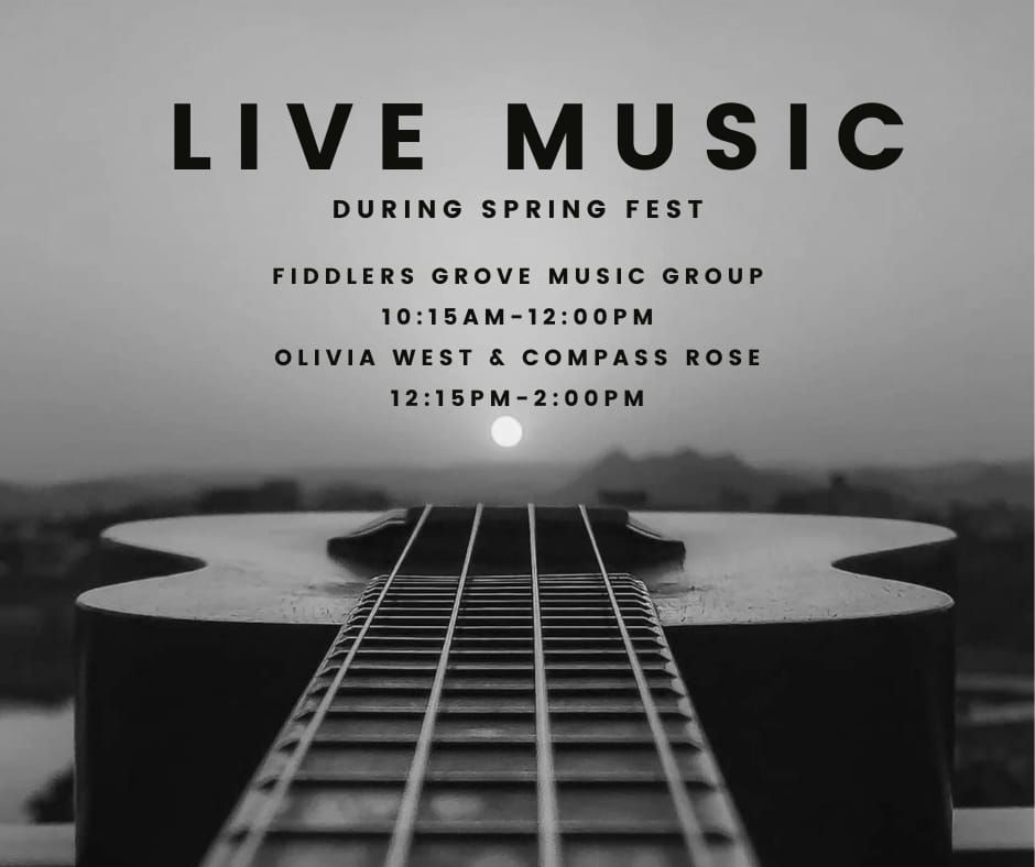 Live Music @ Spring Fest