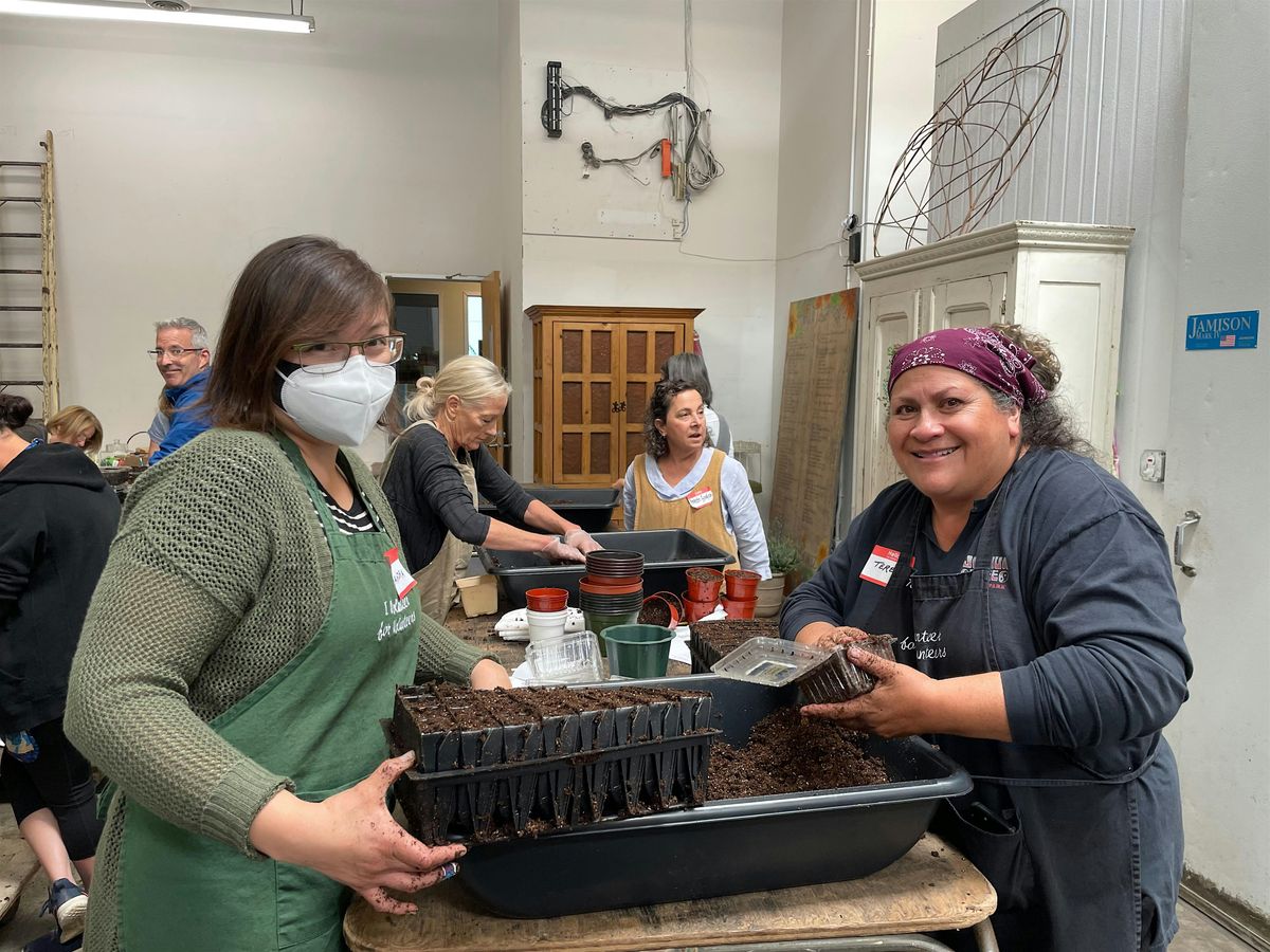 Easy Seed Starting Workshop - Encinitas