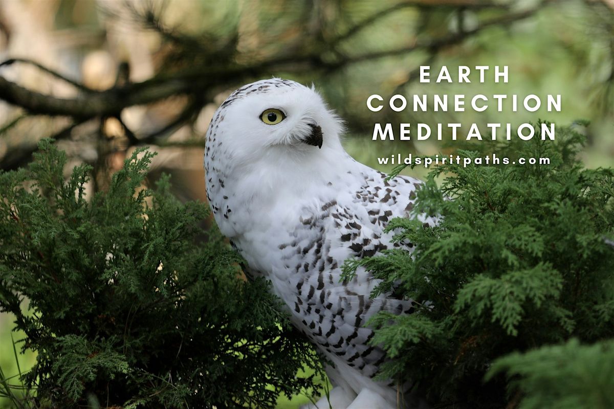 Earth Connection Meditation: Guided Meditation, Practices & Poetry