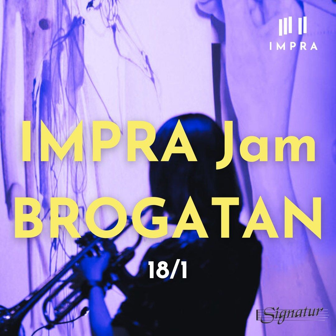 IMPRA Jam p\u00e5 Brogatan MALM\u00d6