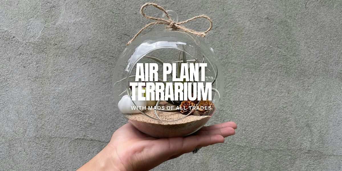 Air Plant Terrarium