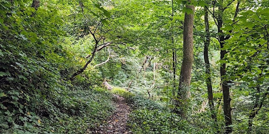 Sedgley Beacon to Wrens Nest Walk