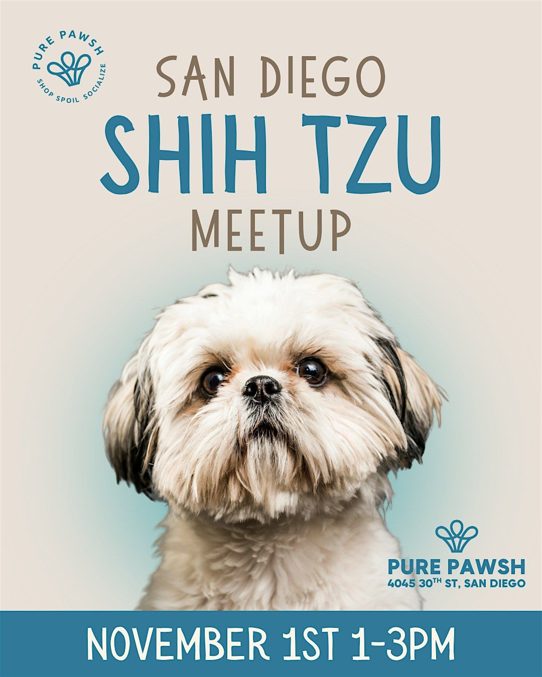 San Diego Shih Tzu Meetup