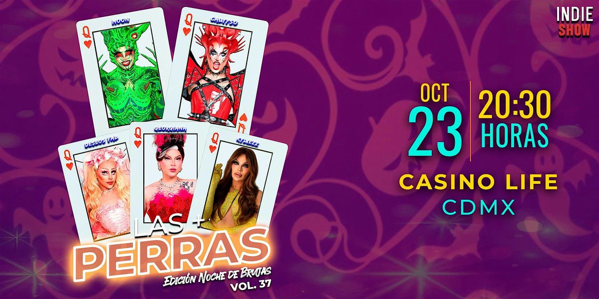LAS MAS PERRAS 37 Edici\u00f3n ''Noche de Brujas''