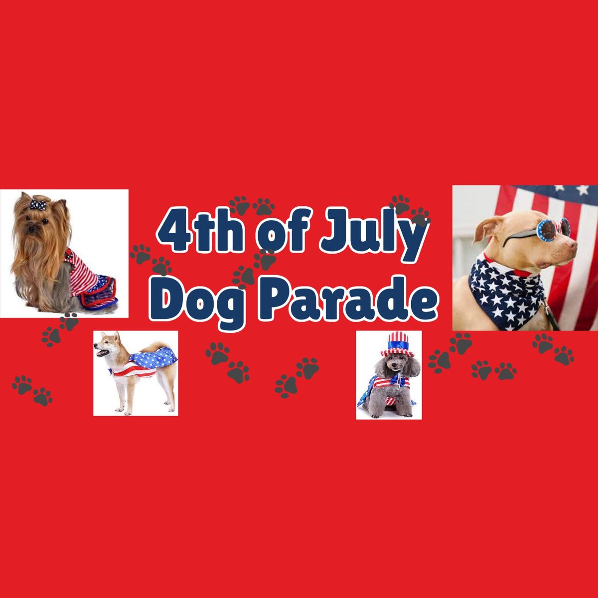 Pea Ridge first annual 4th of July Parade