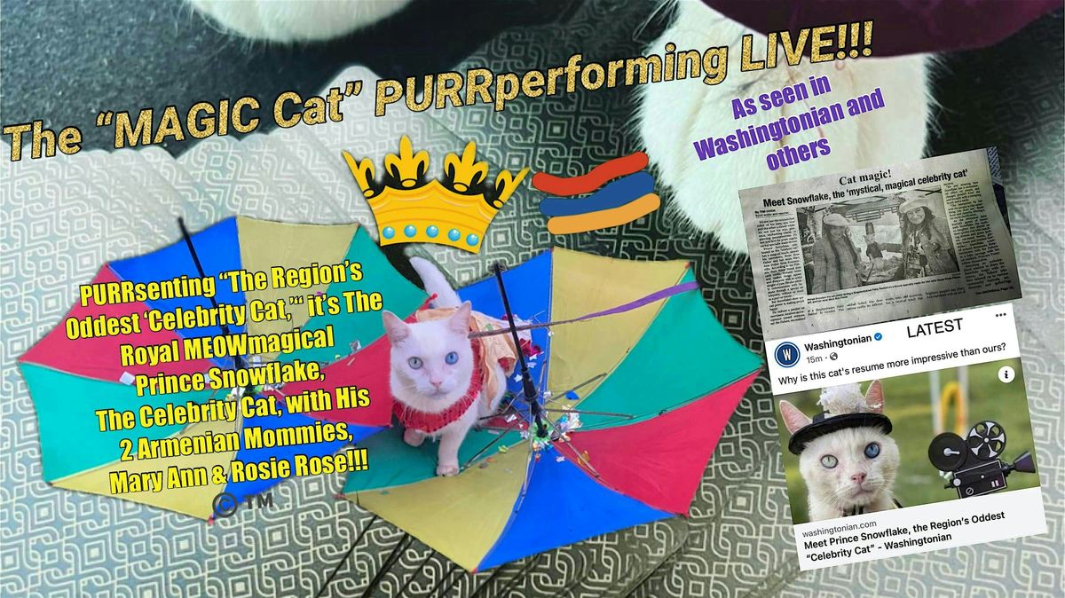 Prince Snowflake, The Celebrity Cat, Springtime PURRtacular Show 2025!!!