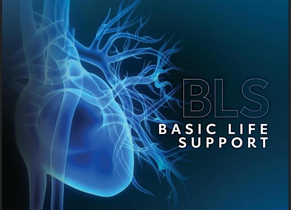 Basic Life Support (BLS\/CPR) for Healthcare Providers
